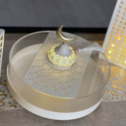 Tamrya acrylic (27cm) rm-43